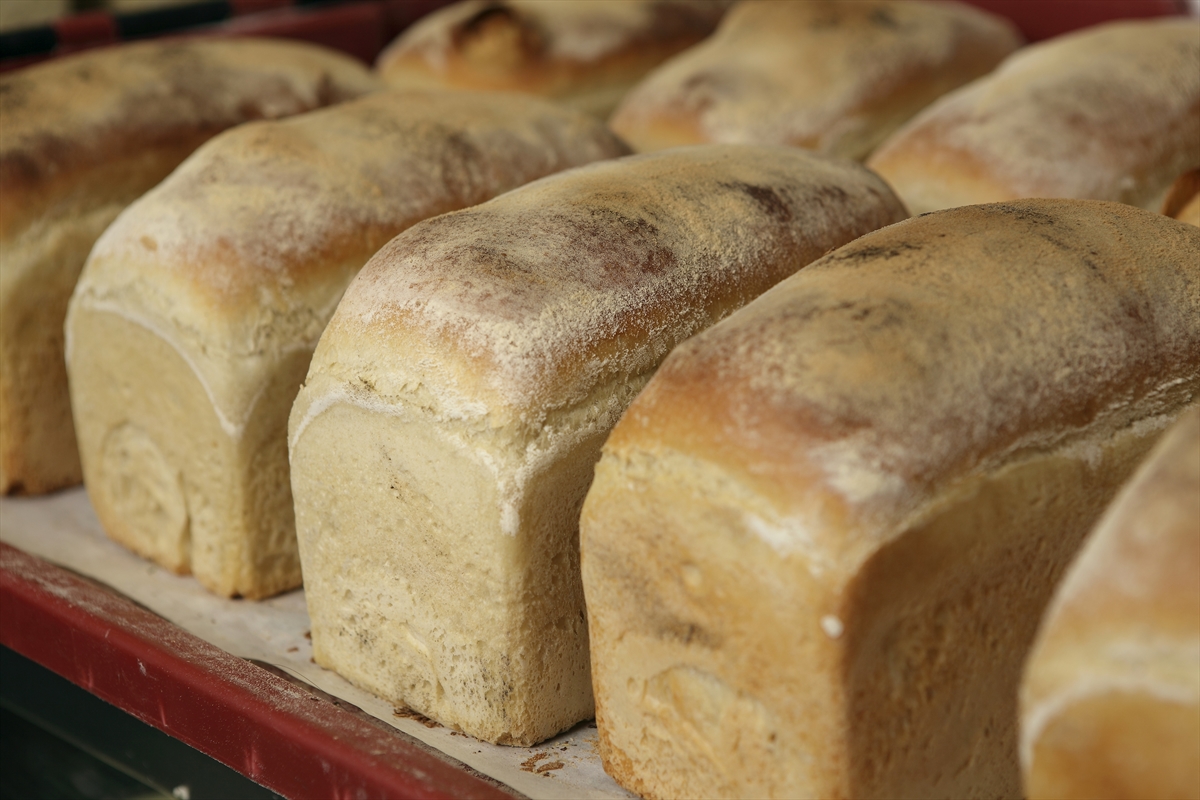 Bakery Andante, Award winning artisan bakery, Edinburgh, Scotland Award winning artisan bakery